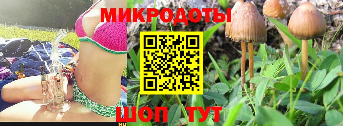 Галлюциногенные грибы Psilocybine cubensis  Вход с VPN  Гусиноозёрск 